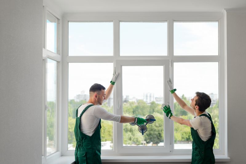 Professional Installing Windows